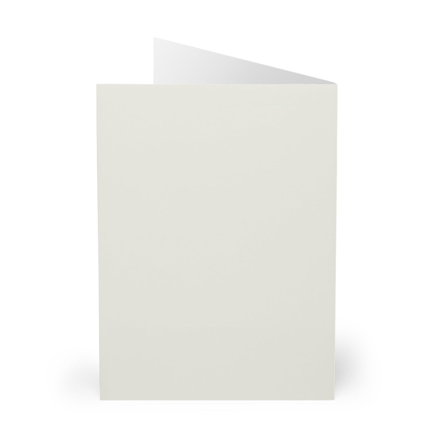 5 Donkey Christmas Card Set, Large Blank Christmas Greeting Cards - FlooredByArt