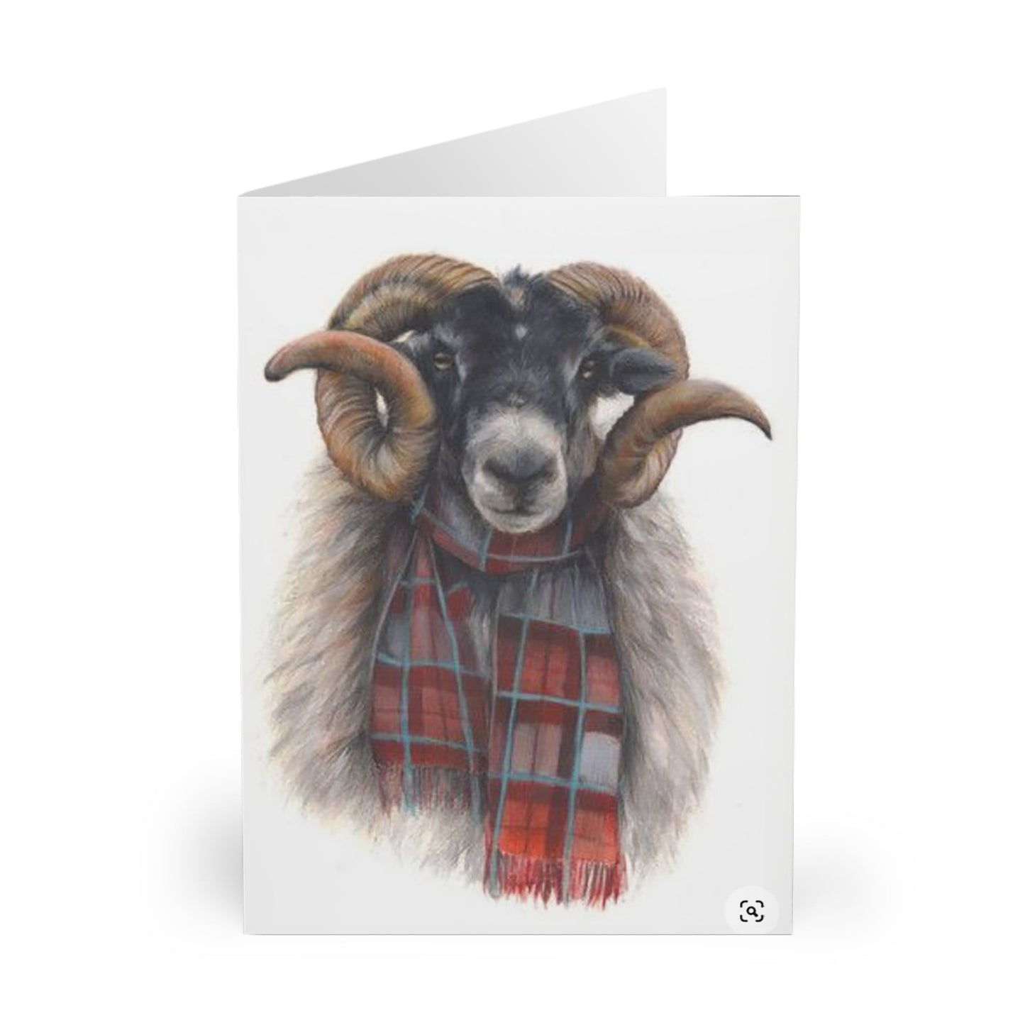 5 Whimsical Highland Ram Note Card, Large RAM Greeting Card 2 sided - FlooredByArt