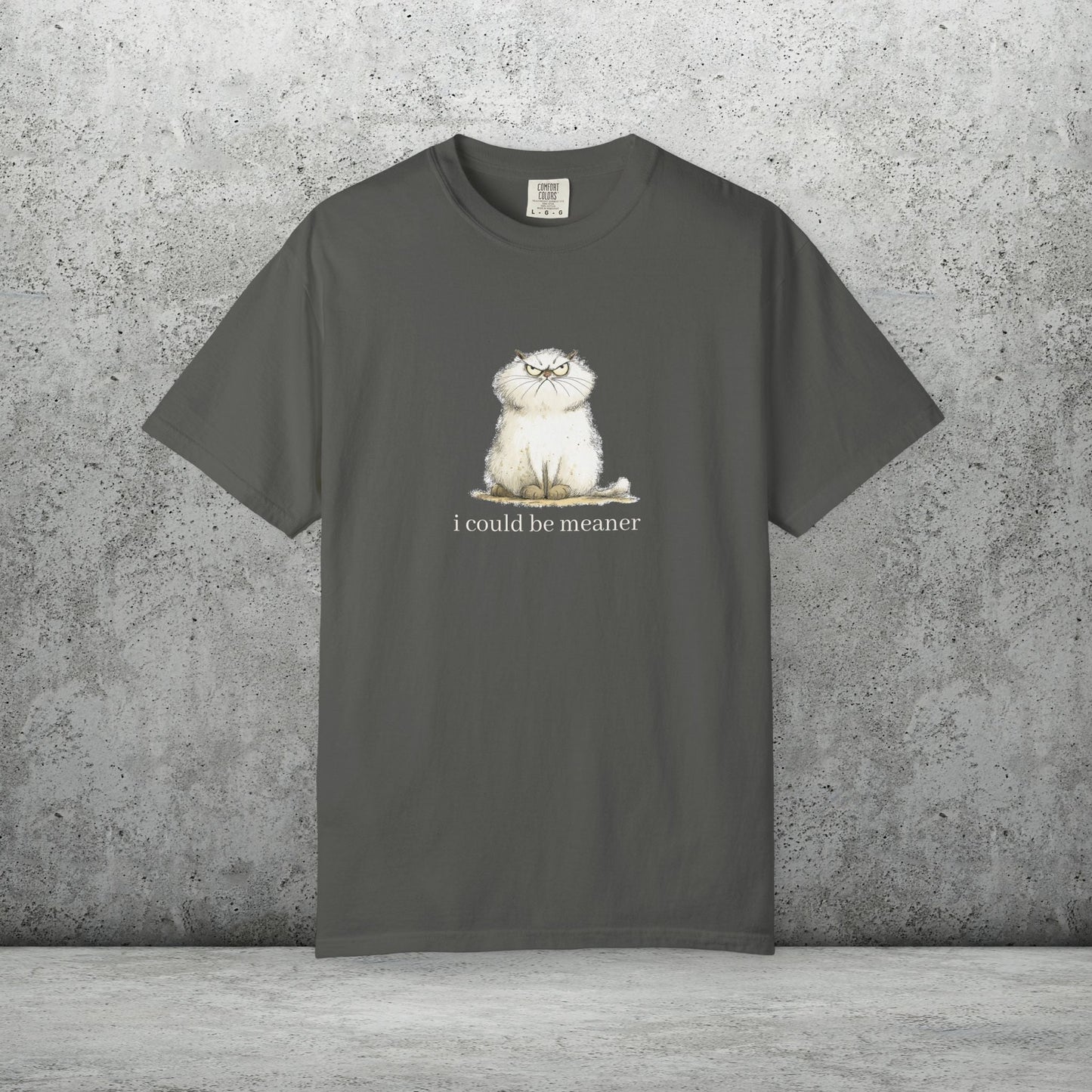 Funny Fluffy Cat T-Shirt - Sarcastic Quote Humor Shirt, Whimsical Trendy Cat Tee - FlooredByArt