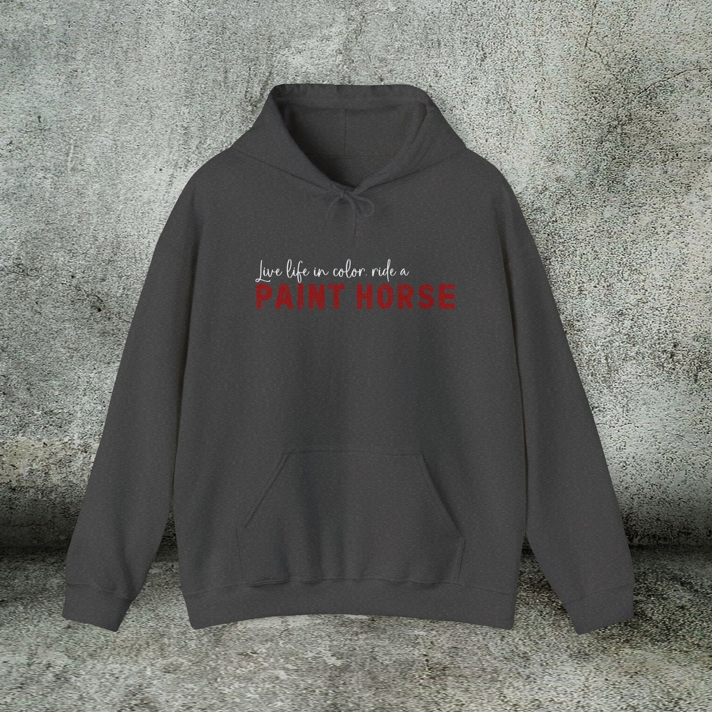 Paint Horse Hoodie – “Live Life in Color” Appaloosa Sweatshirt for Horse Lovers - FlooredByArt