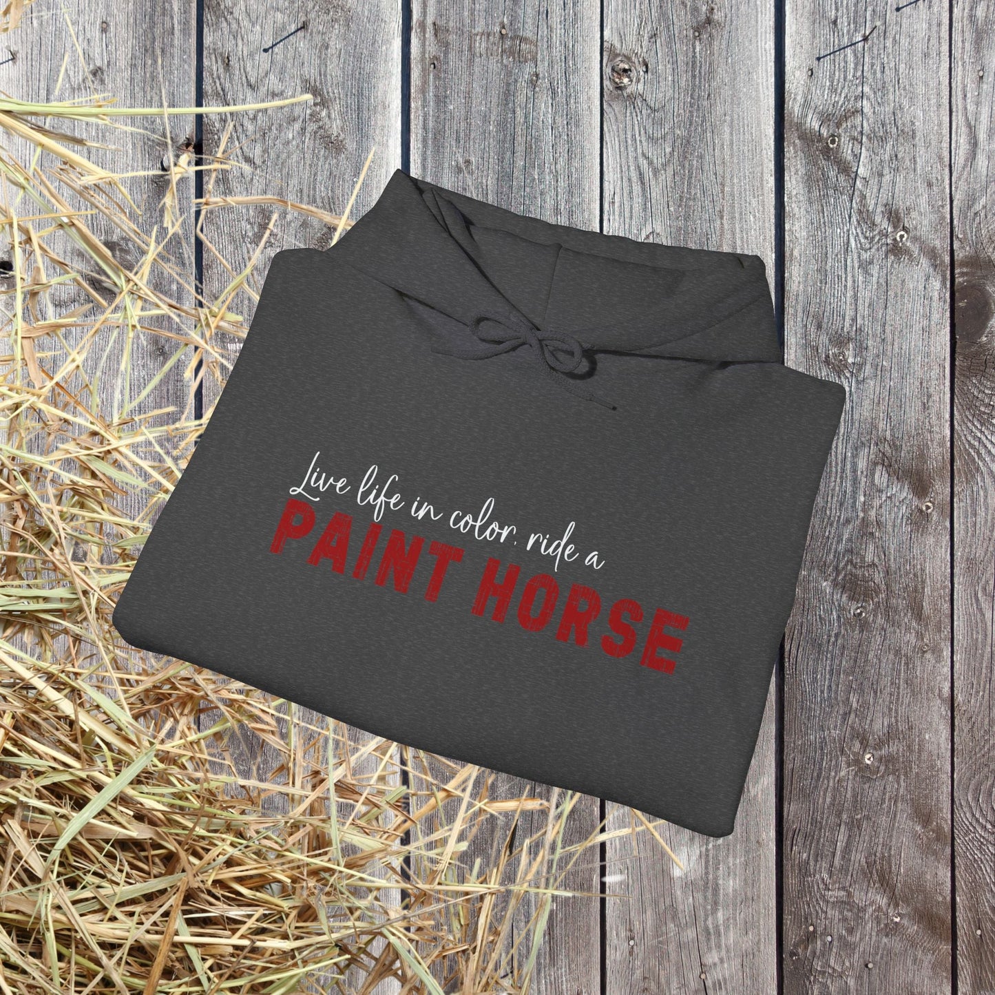 Paint Horse Hoodie – “Live Life in Color” Appaloosa Sweatshirt for Horse Lovers - FlooredByArt
