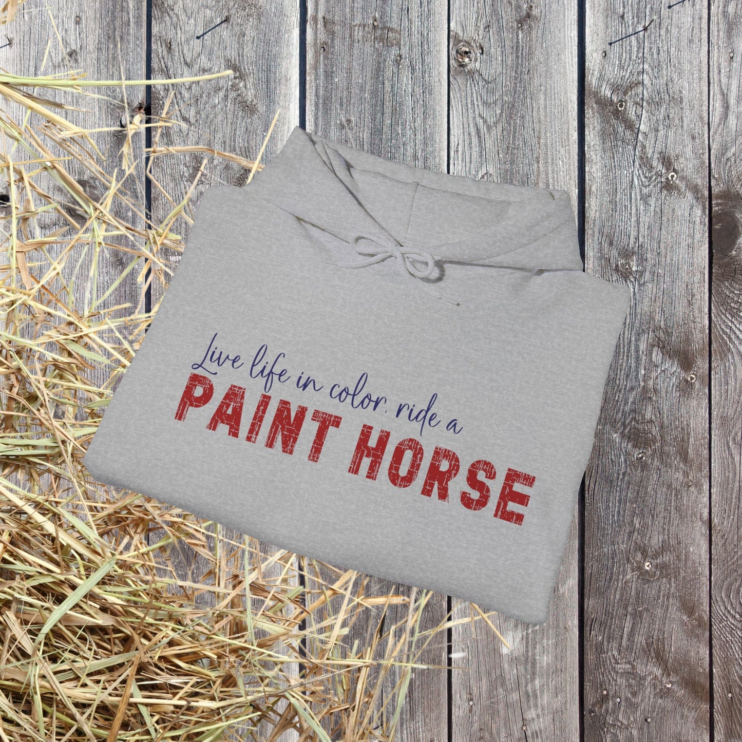 Paint Horse Hoodie – “Live Life in Color” Appaloosa Sweatshirt for Horse Lovers - FlooredByArt