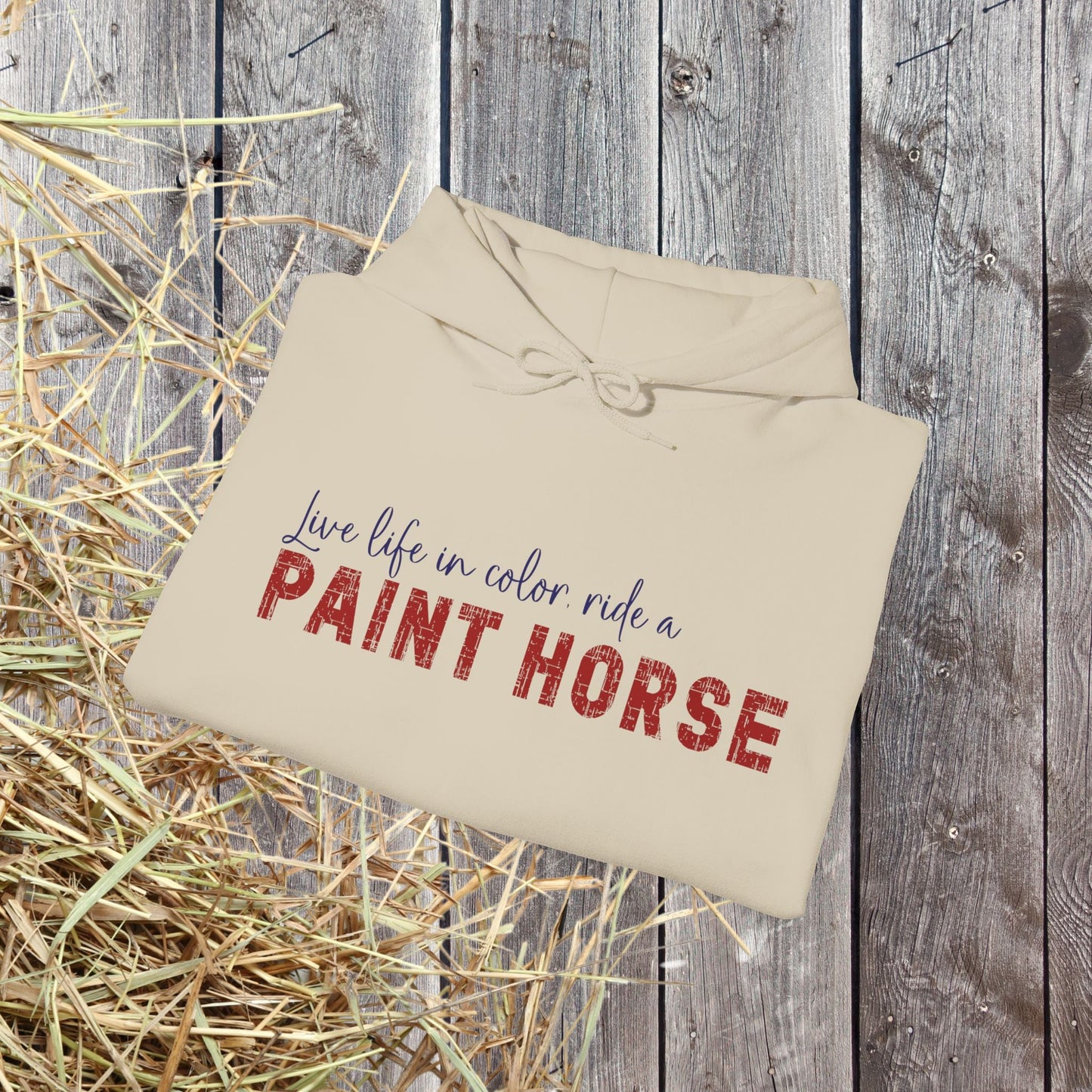 Paint Horse Hoodie – “Live Life in Color” Appaloosa Sweatshirt for Horse Lovers - FlooredByArt