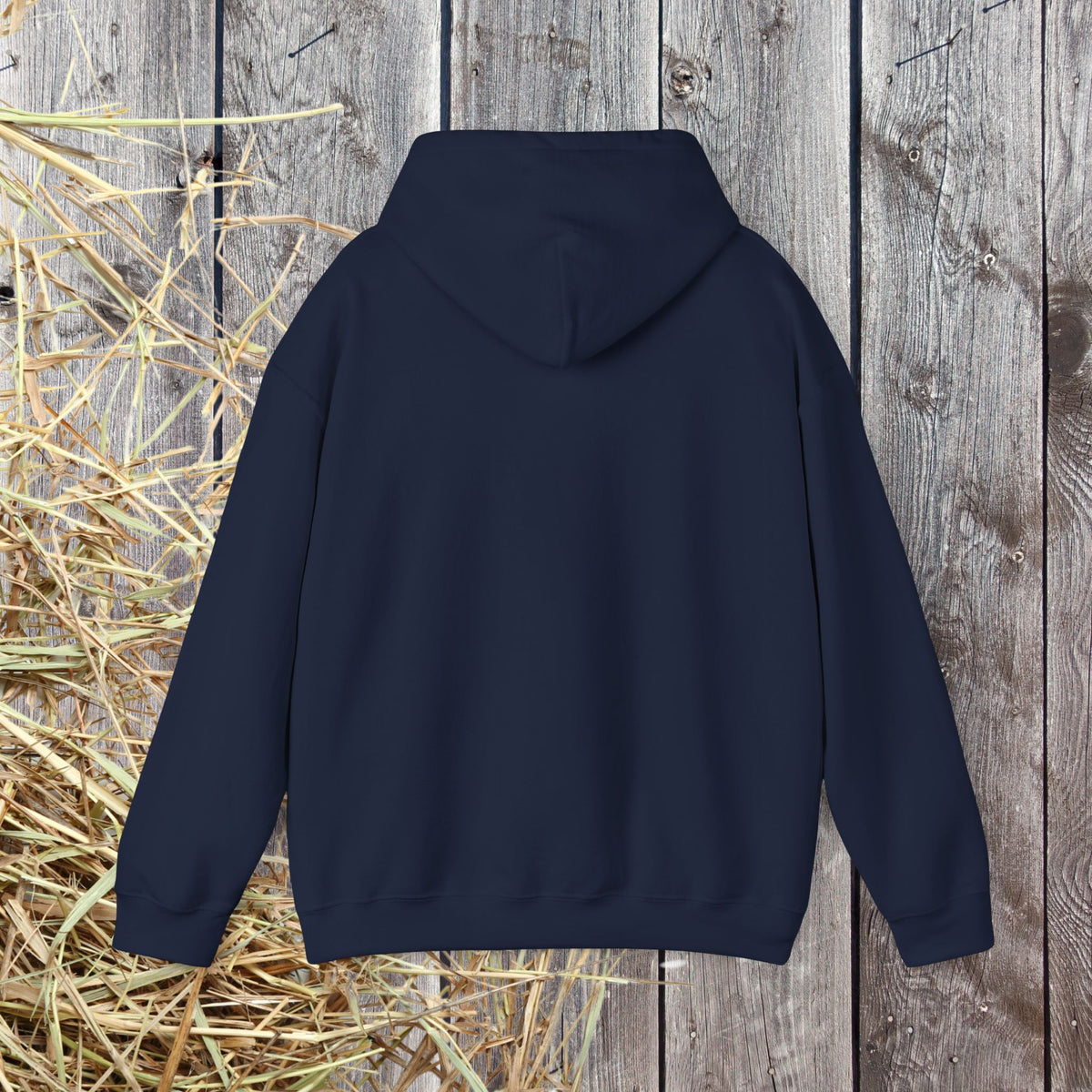 Gypsy Vanner Horse Long Sleeve Tee – Feather, Mane & Heart Equestrian Shirt