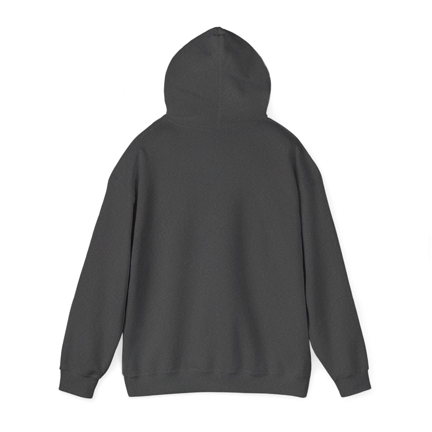 Appaloosa Hoodie, Horse Lover Sweatshirt, Western Horse Hoodie, Equestrian Gift, Cowboy Hoodie