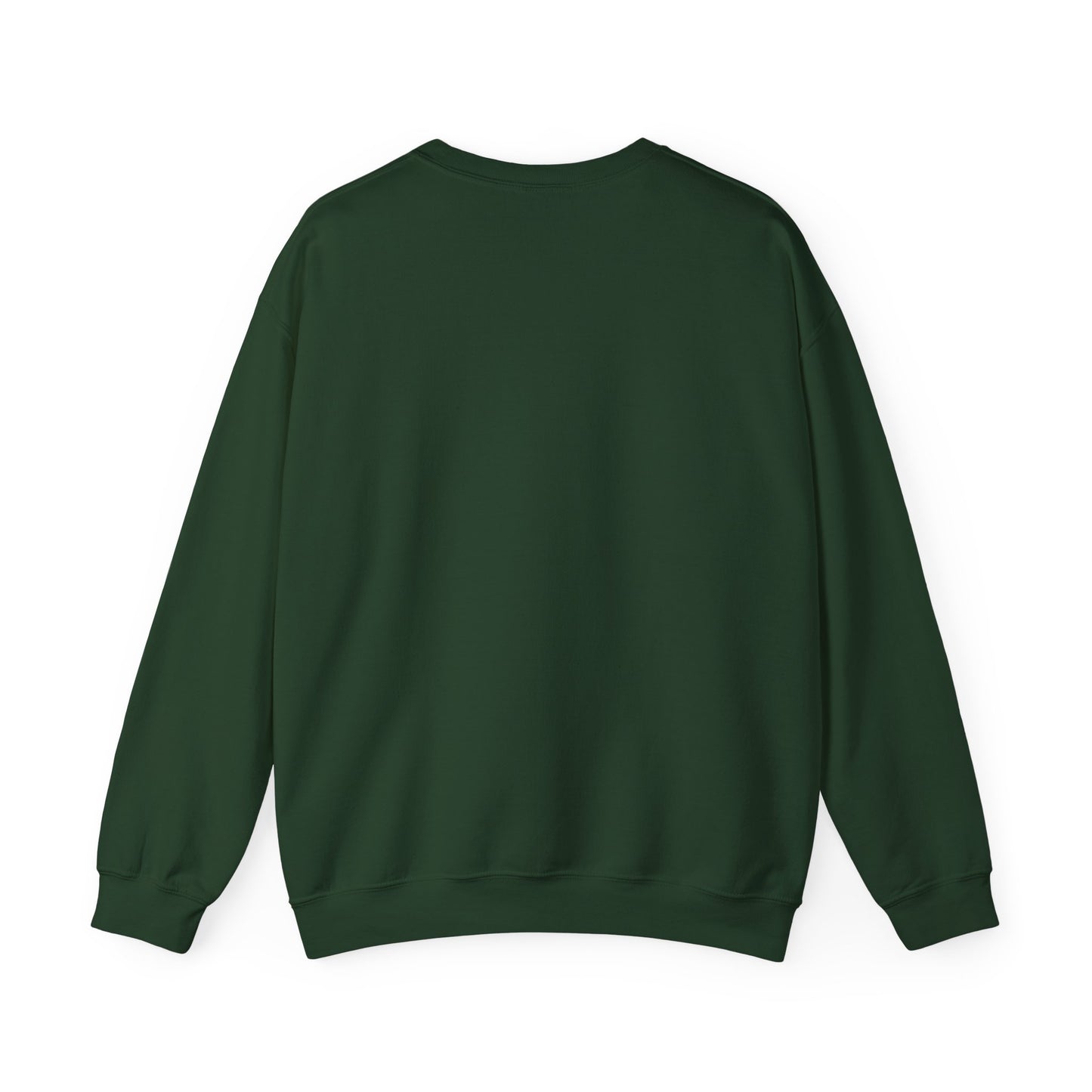 A Christmas Visit Horse Christmas Sweatshirt – Father Christmas