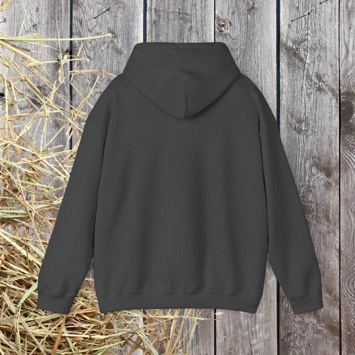 Gypsy Vanner Horse Long Sleeve Tee – Feather, Mane & Heart Equestrian Shirt