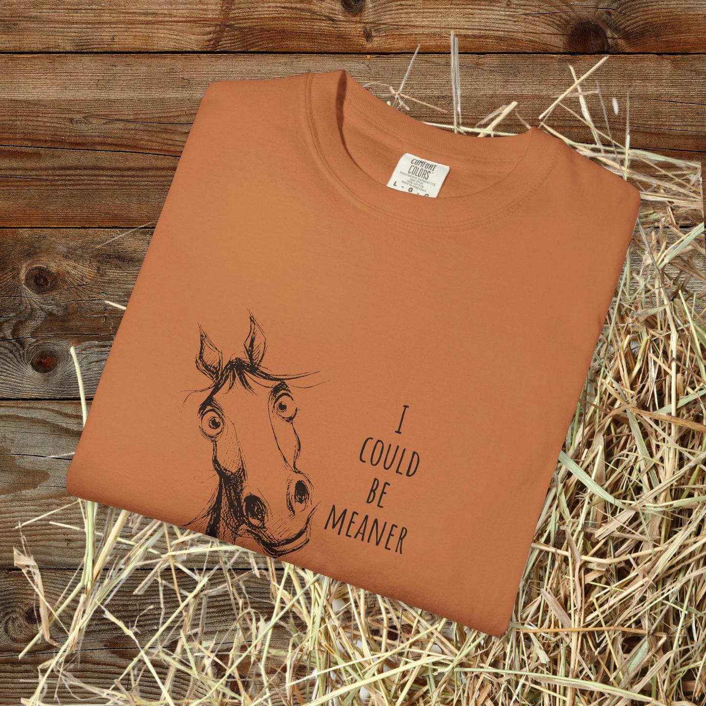 Funny Ornery Horse Cotton T-shirt - "I Could Be Meaner" Horse Lover Tee