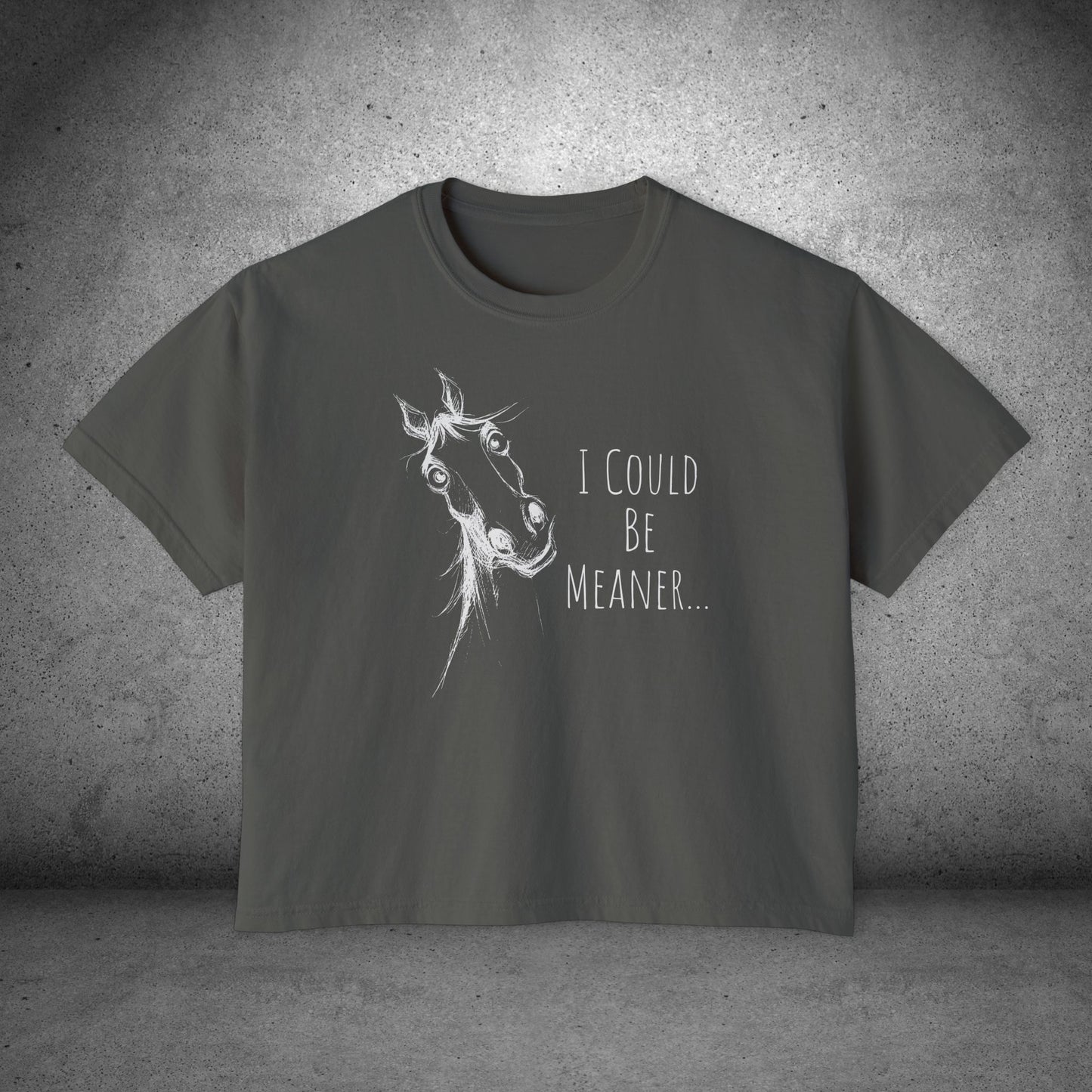 Women's Boxy Loose Fit Horse Tee — Horse Sketch "I Could Be Meaner"