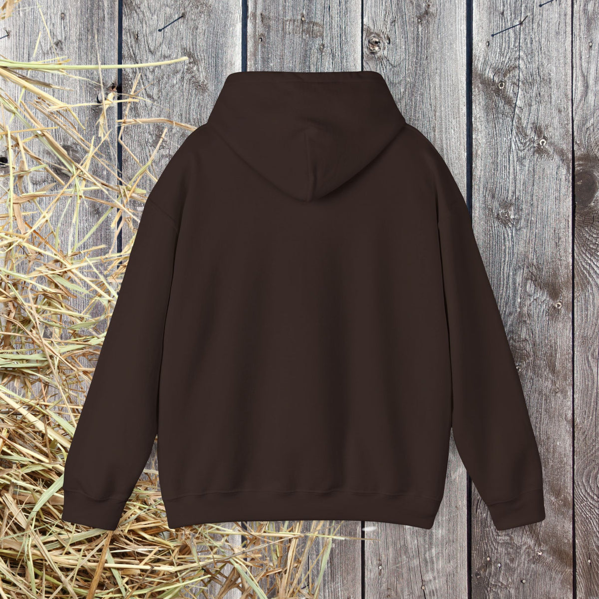 Gypsy Vanner Horse Long Sleeve Tee – Feather, Mane & Heart Equestrian Shirt