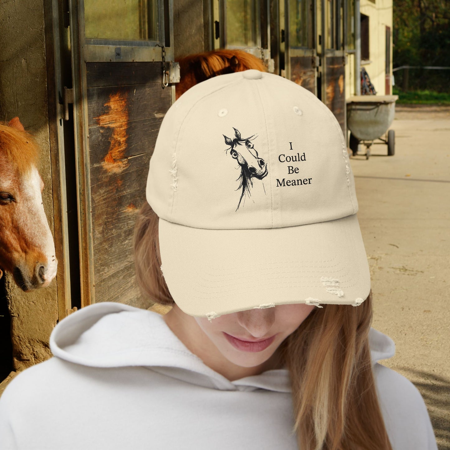 Whimsical Mare Hat I Could Be Meaner Cap | Distressed