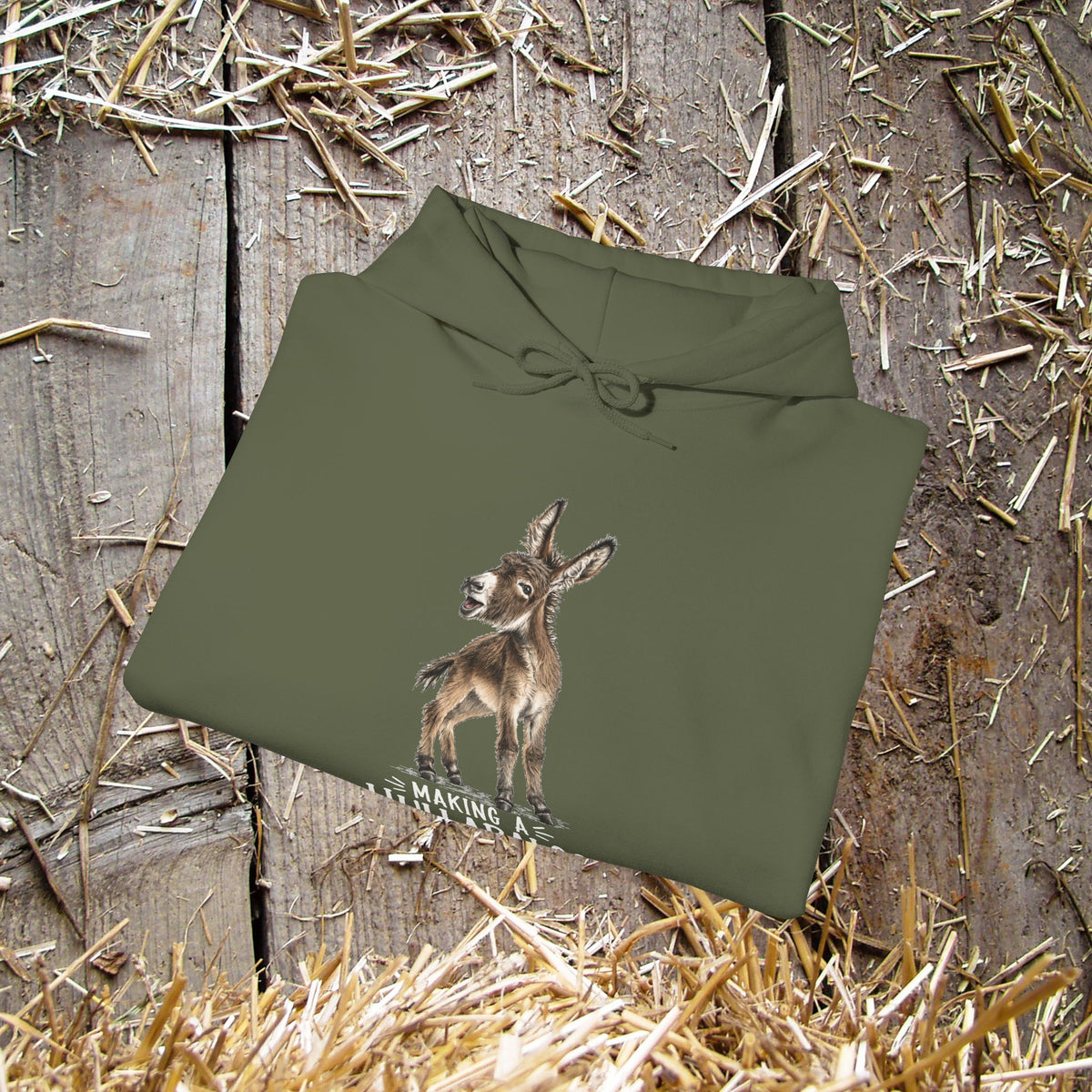 Making a Hullabaloo Donkey Hoodie – Funny Donkey Lover Sweatshirt