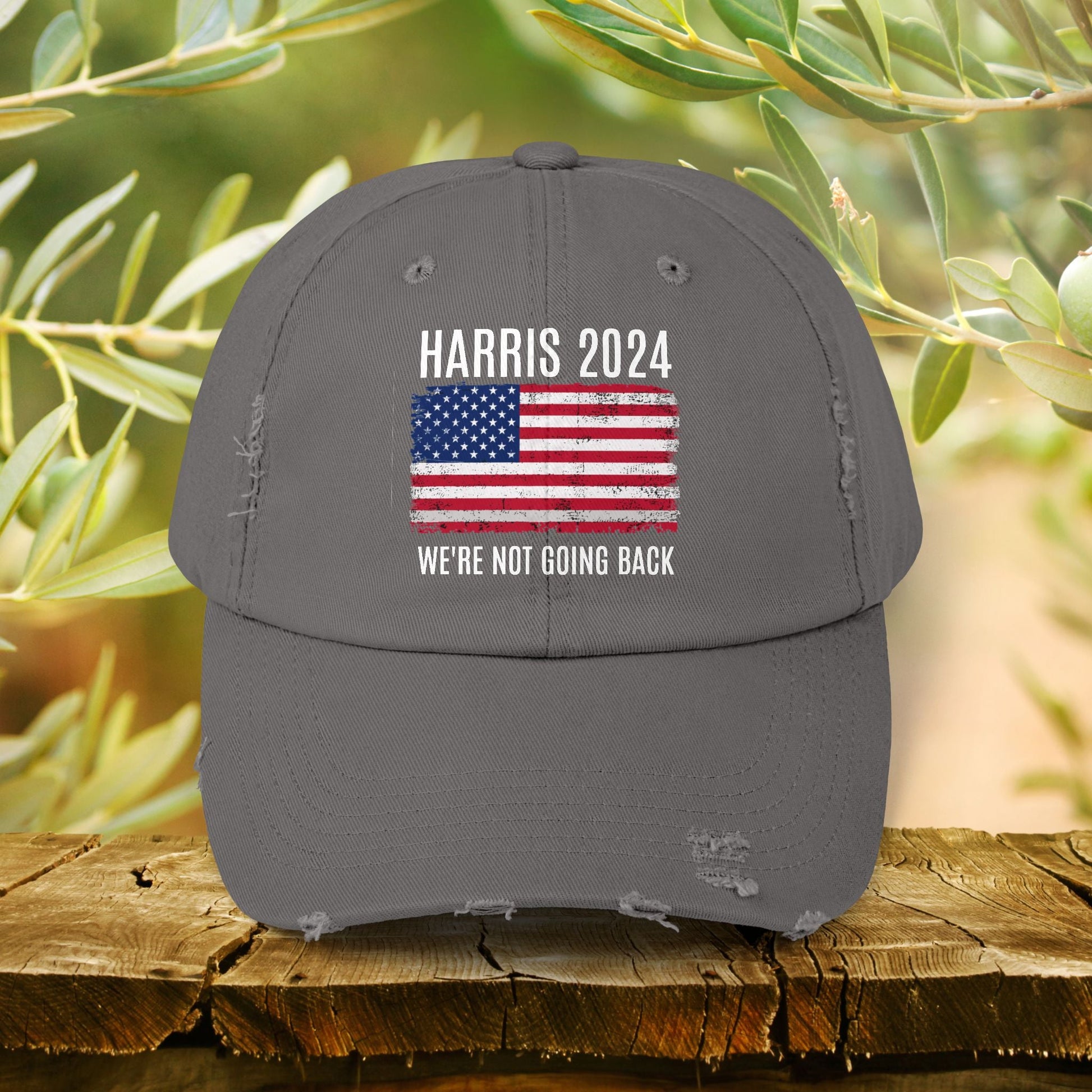 Elect Kamala Harris Cap Hat, Kamala Harris For President 2024, We're Not Going Back Hat, - FlooredByArt