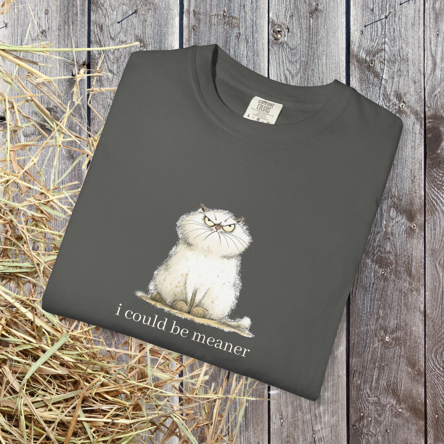 Funny Fluffy Cat T-Shirt - Sarcastic Quote Humor Shirt, Whimsical Trendy Cat Tee - FlooredByArt