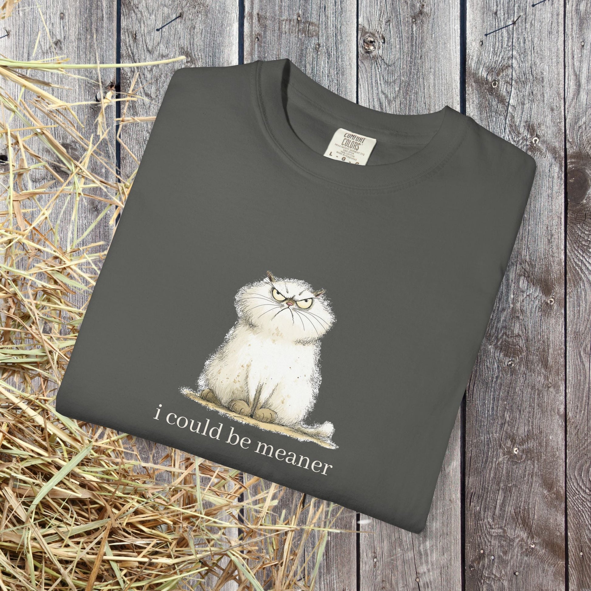 Funny Fluffy Cat T-Shirt - Sarcastic Quote Humor Shirt, Whimsical Trendy Cat Tee - FlooredByArt
