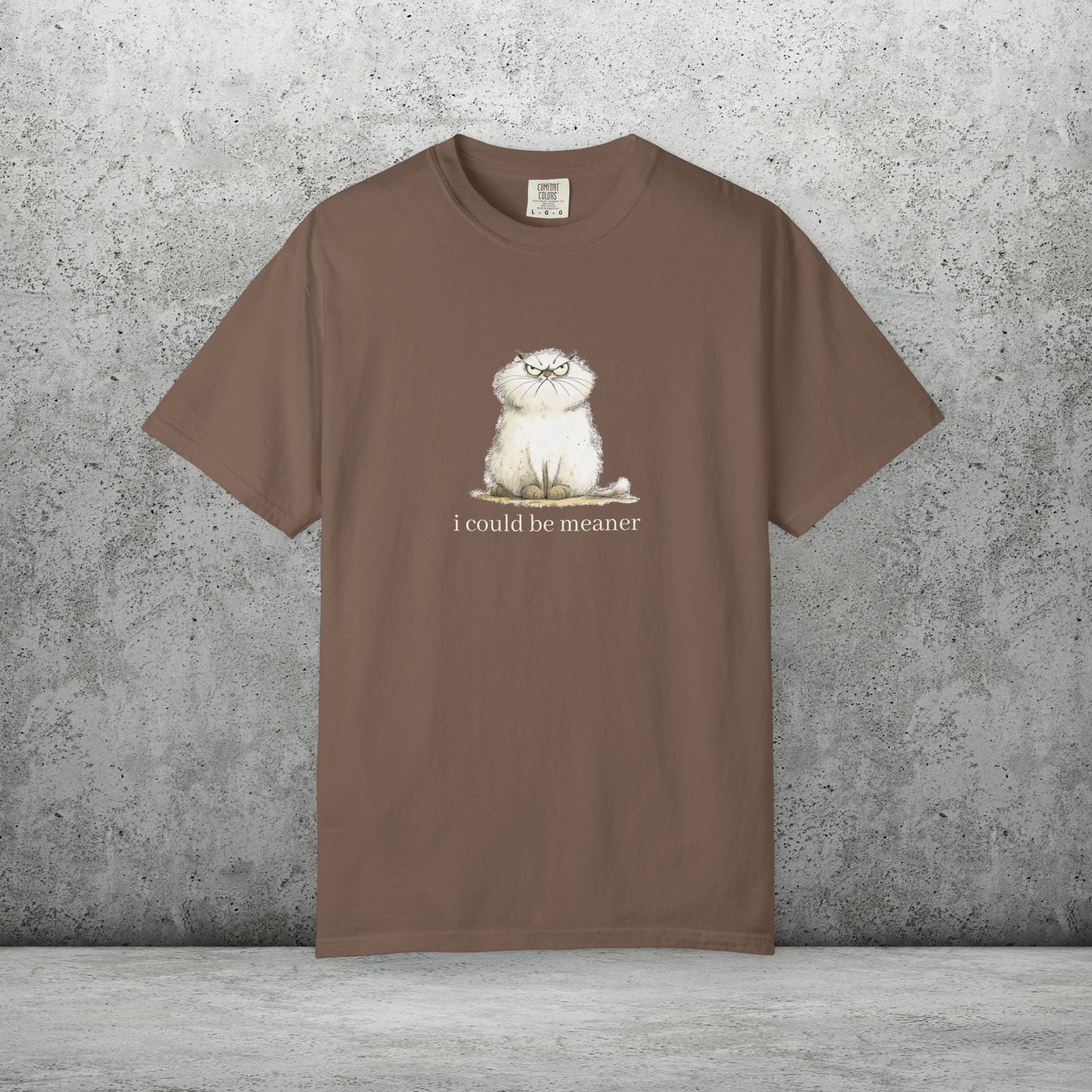 Funny Fluffy Cat T-Shirt - Sarcastic Quote Humor Shirt, Whimsical Trendy Cat Tee - FlooredByArt