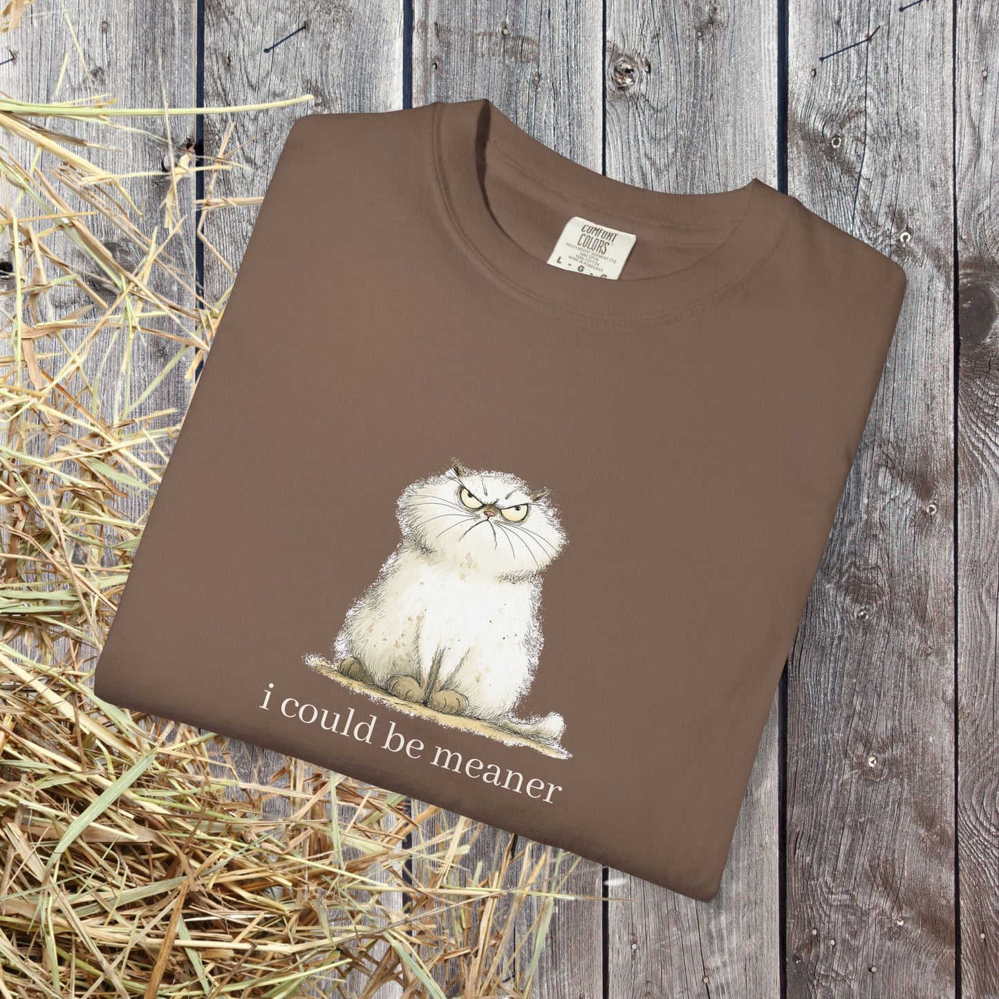 Funny Fluffy Cat T-Shirt - Sarcastic Quote Humor Shirt, Whimsical Trendy Cat Tee - FlooredByArt