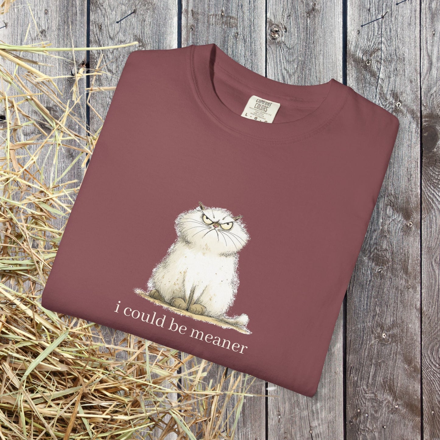 Funny Fluffy Cat T-Shirt - Sarcastic Quote Humor Shirt, Whimsical Trendy Cat Tee - FlooredByArt