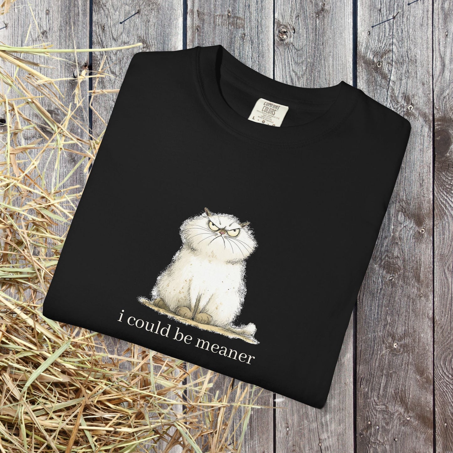 Funny Fluffy Cat T-Shirt - Sarcastic Quote Humor Shirt, Whimsical Trendy Cat Tee - FlooredByArt