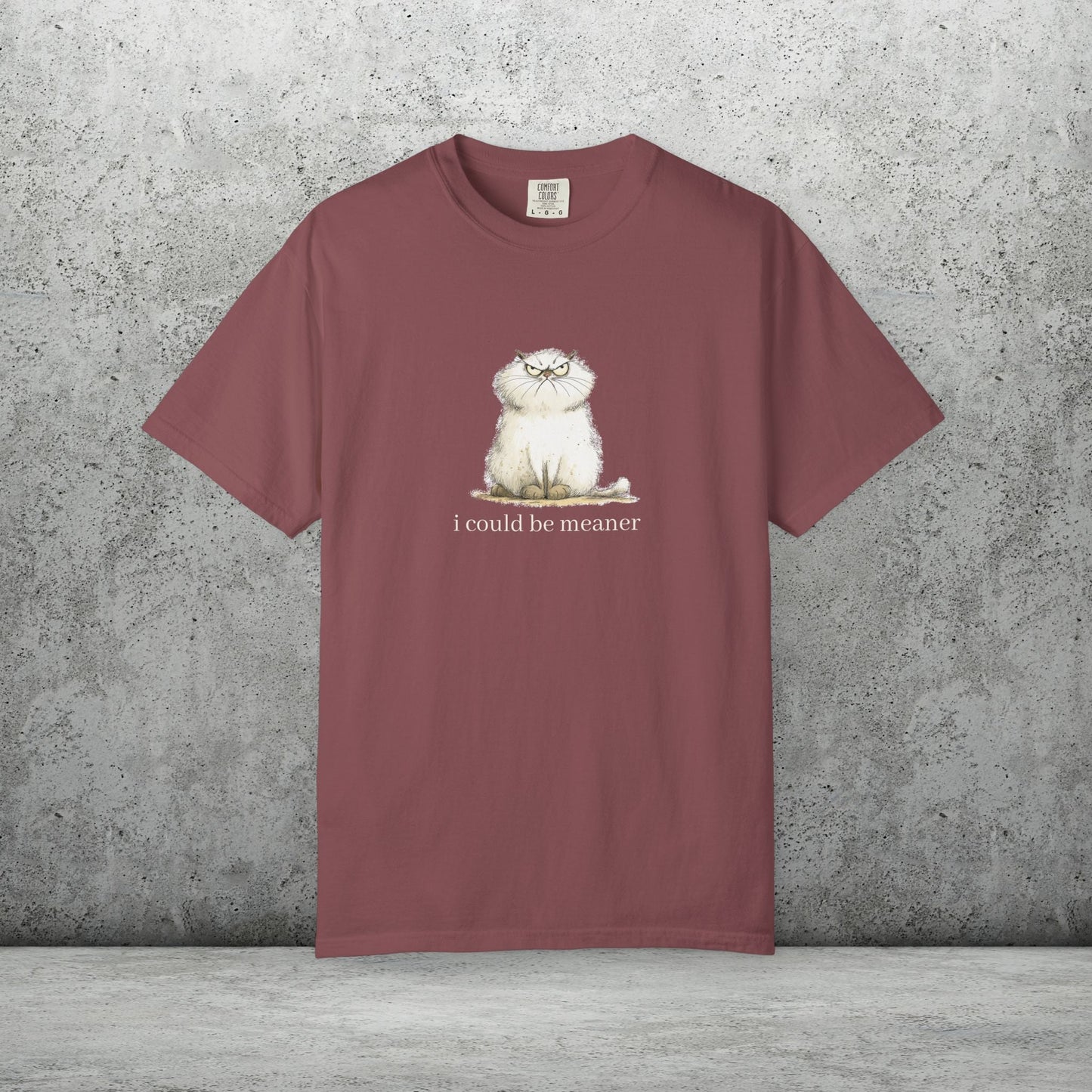 Funny Fluffy Cat T-Shirt - Sarcastic Quote Humor Shirt, Whimsical Trendy Cat Tee - FlooredByArt