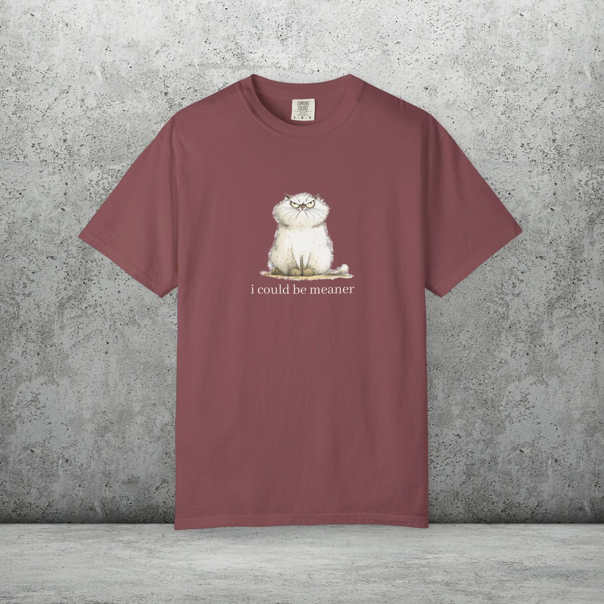 Funny Fluffy Cat T-Shirt - Sarcastic Quote Humor Shirt, Whimsical Trendy Cat Tee - FlooredByArt