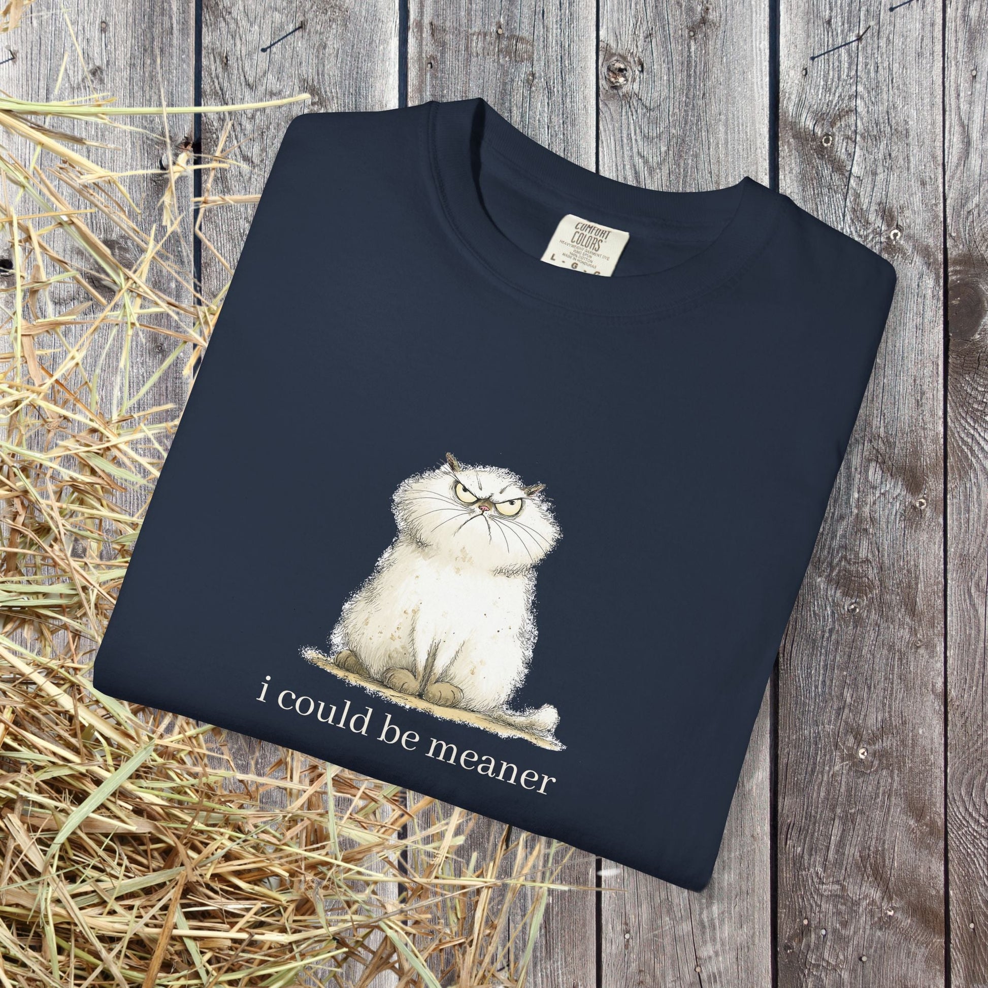 Funny Fluffy Cat T-Shirt - Sarcastic Quote Humor Shirt, Whimsical Trendy Cat Tee - FlooredByArt
