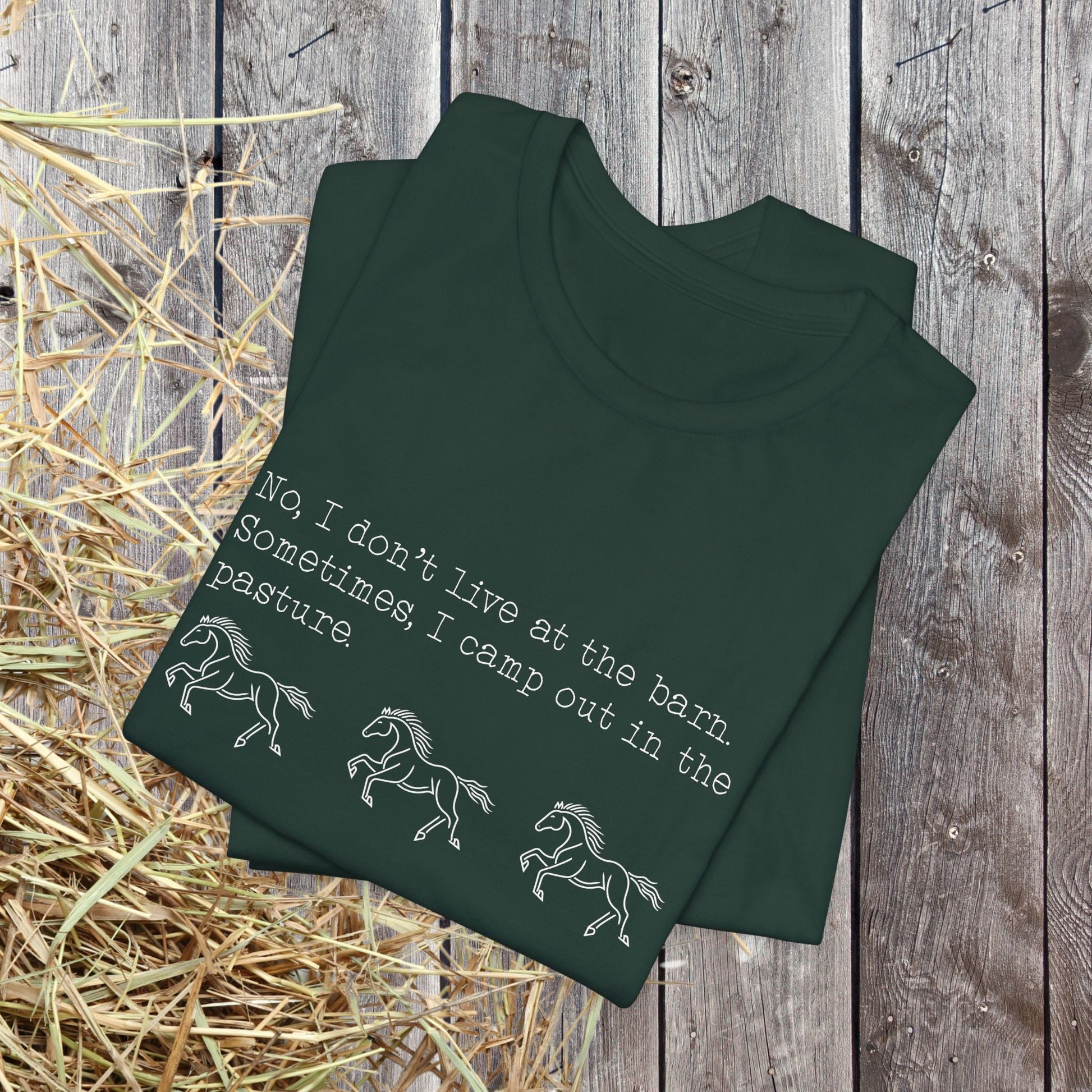 Funny Horse shirt, No I Dont live at the Barn, Quote Tee, Equestrian Gift - FlooredByArt