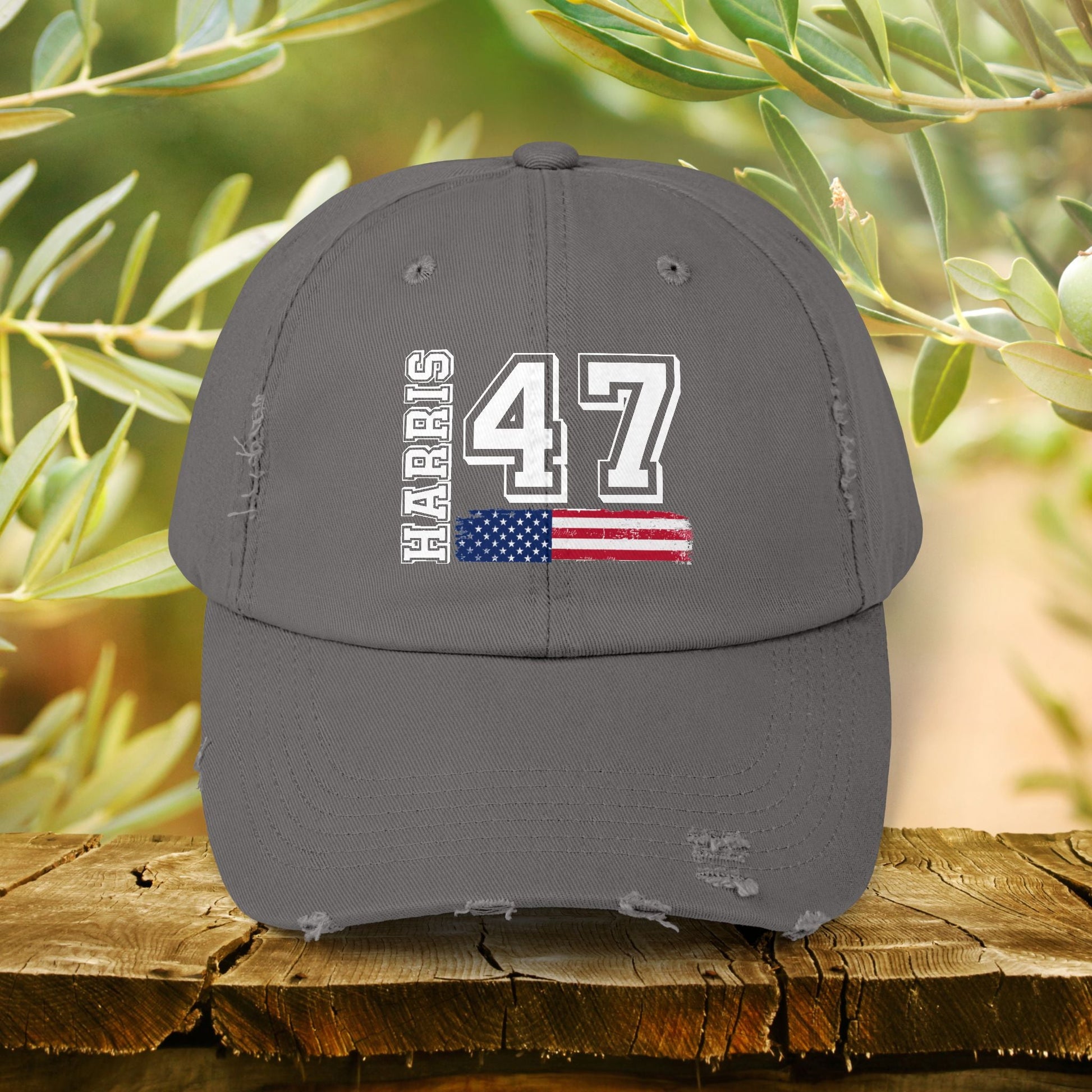 Harris 47 Cap Hat, Kamala Harris Campaign, Kamala Harris For President 2024, We're Not Going Back Hat, Democrat 2024 Dad Hat, President - FlooredByArt