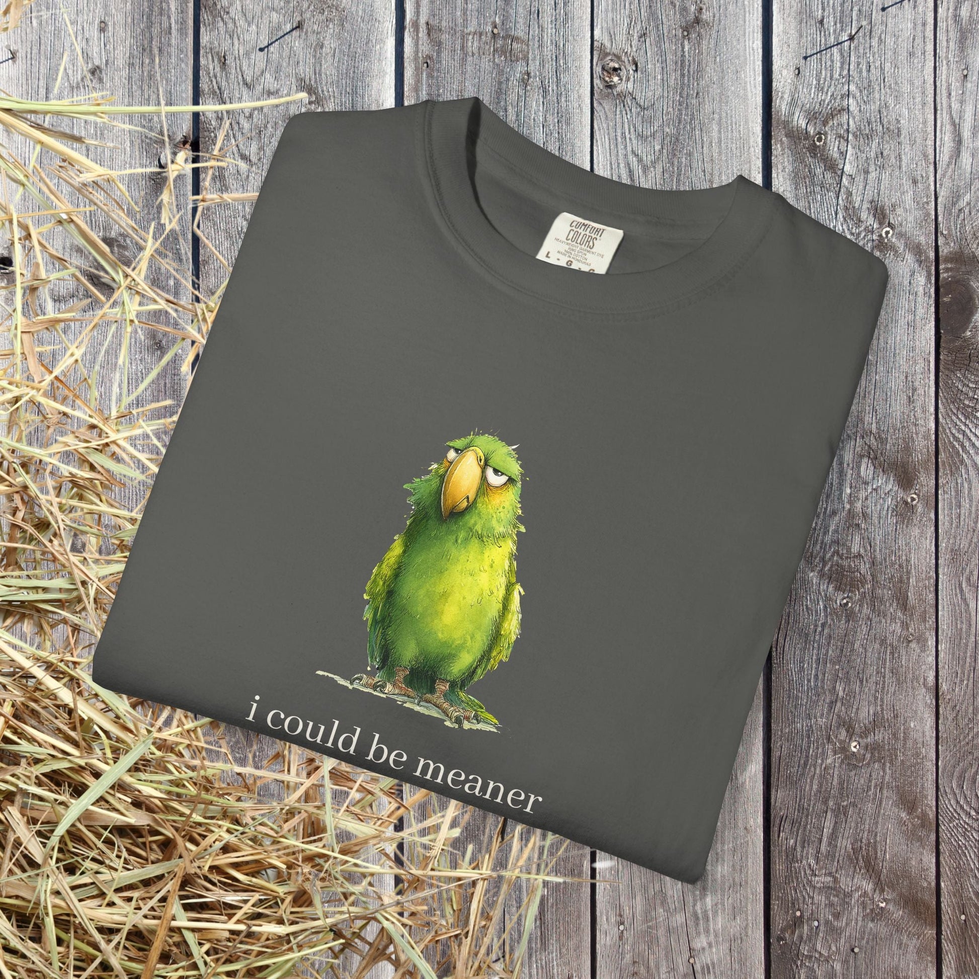 Hey Quick Question Parrot T-Shirt – Funny Sarcastic Bird Lover Tee with Attitude - FlooredByArt