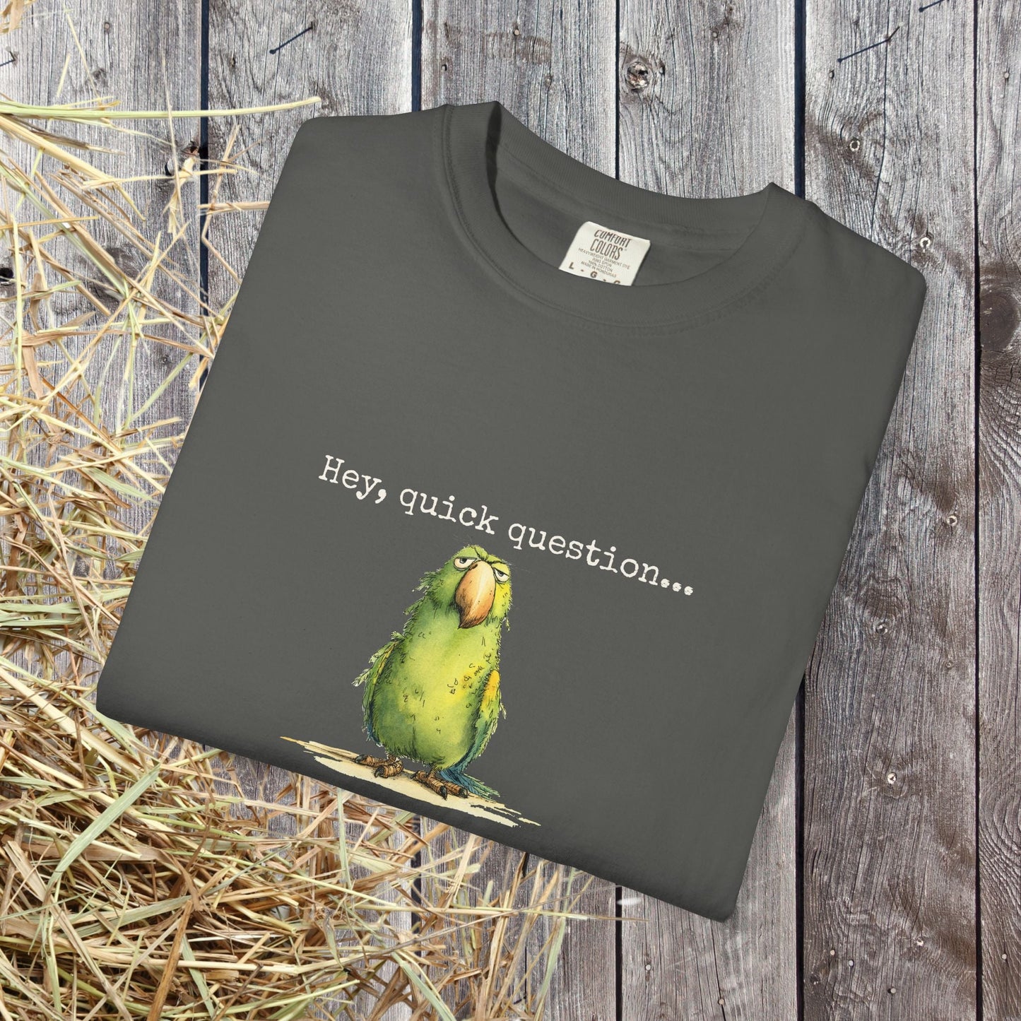 Hey There Parrot T-Shirt, Spicy Funny Quote Bird Lover Tee - FlooredByArt