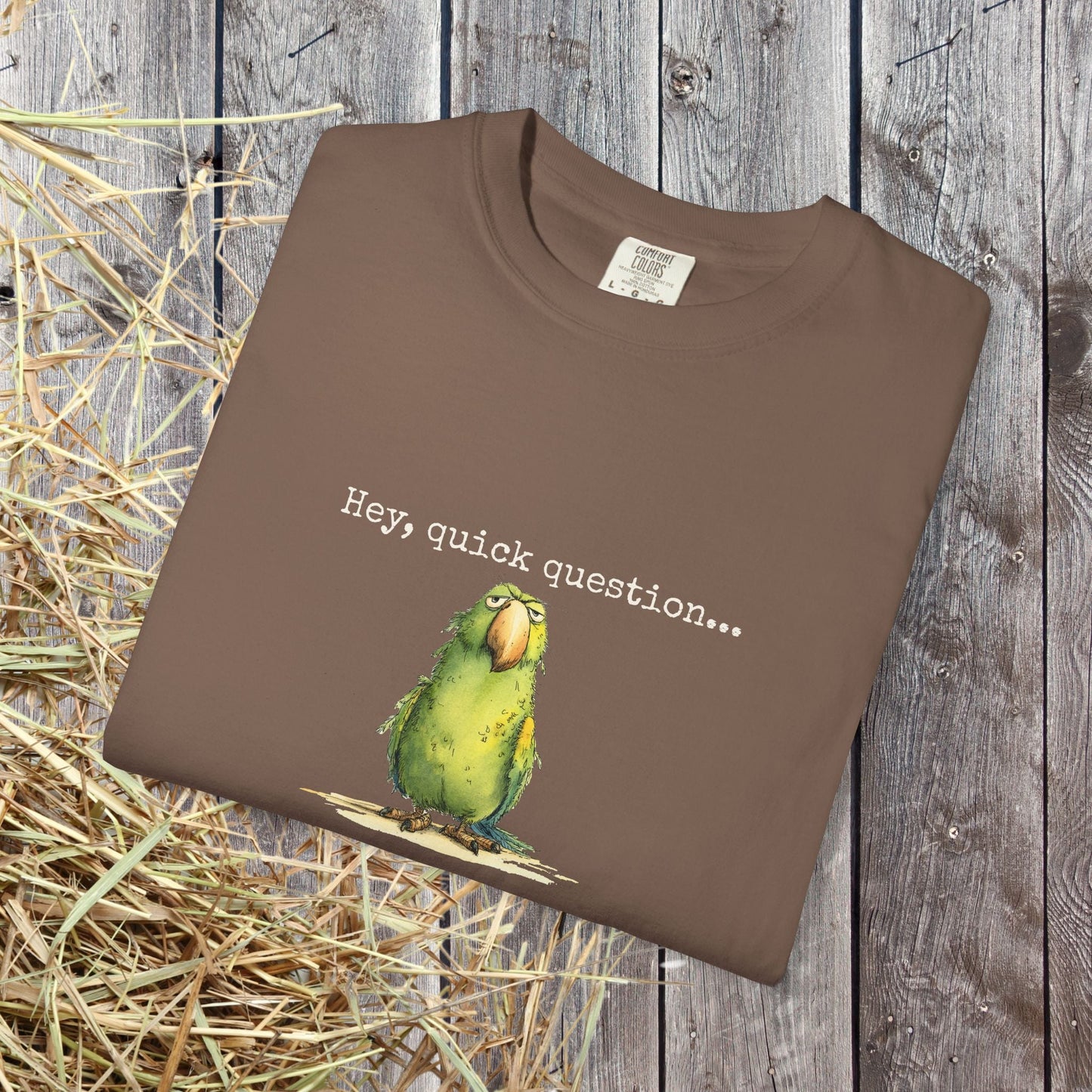 Hey There Parrot T-Shirt, Spicy Funny Quote Bird Lover Tee - FlooredByArt