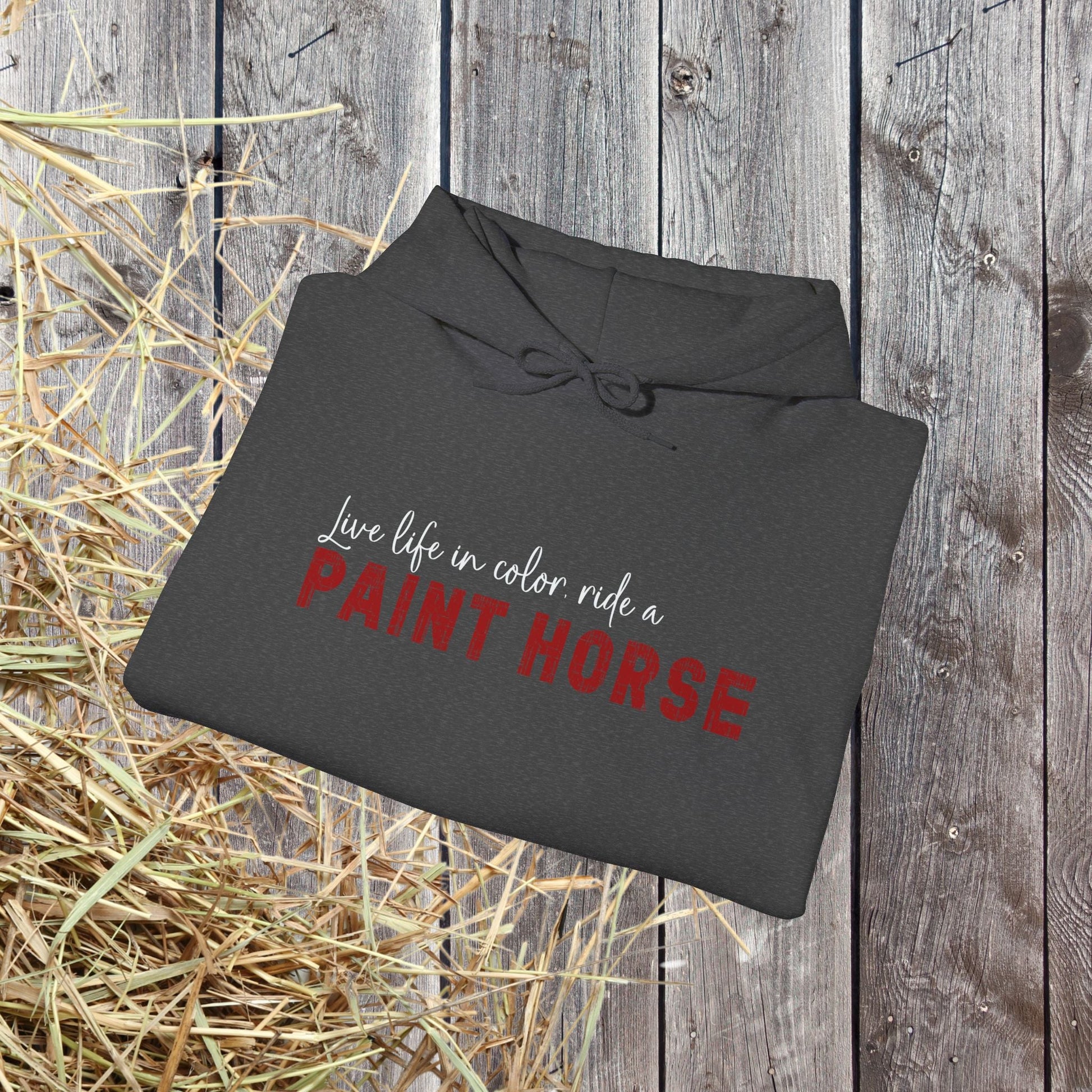 Paint Horse Hoodie – “Live Life in Color” Appaloosa Sweatshirt for Horse Lovers - FlooredByArt