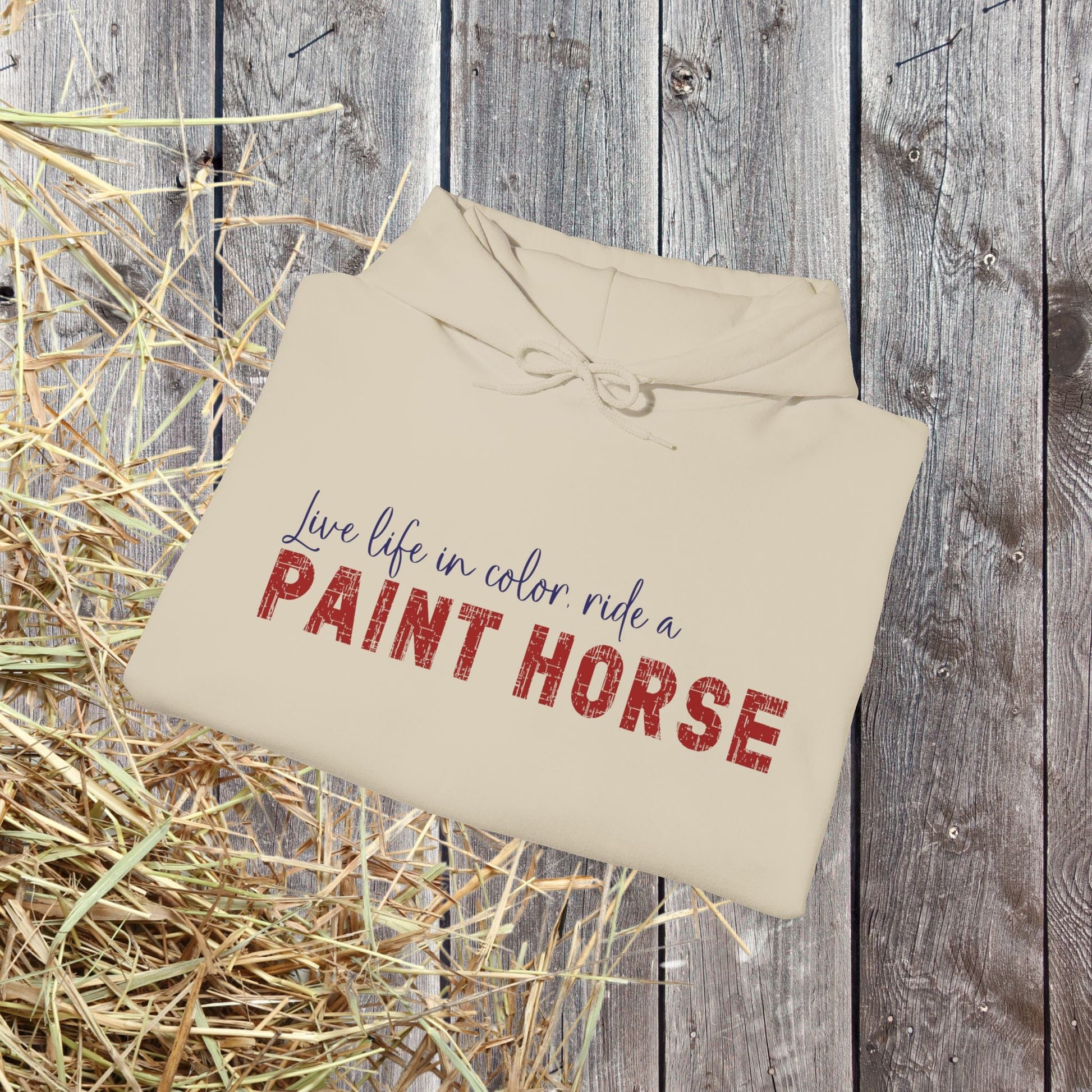 Paint Horse Hoodie – “Live Life in Color” Appaloosa Sweatshirt for Horse Lovers - FlooredByArt