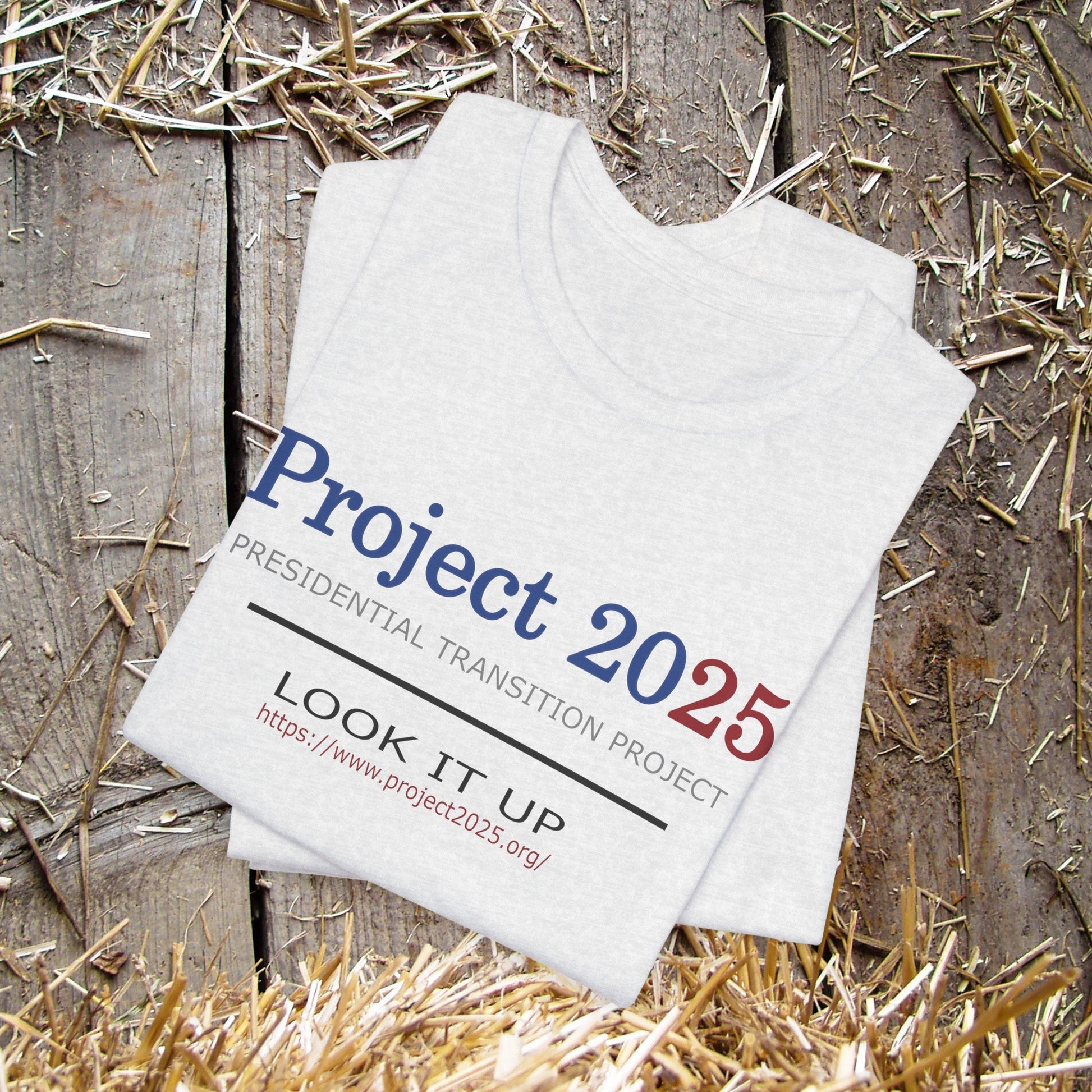 Project 2025 Presidential Transition Plan, Heritage Foundation, Attack on Democracy, Vote - FlooredByArt