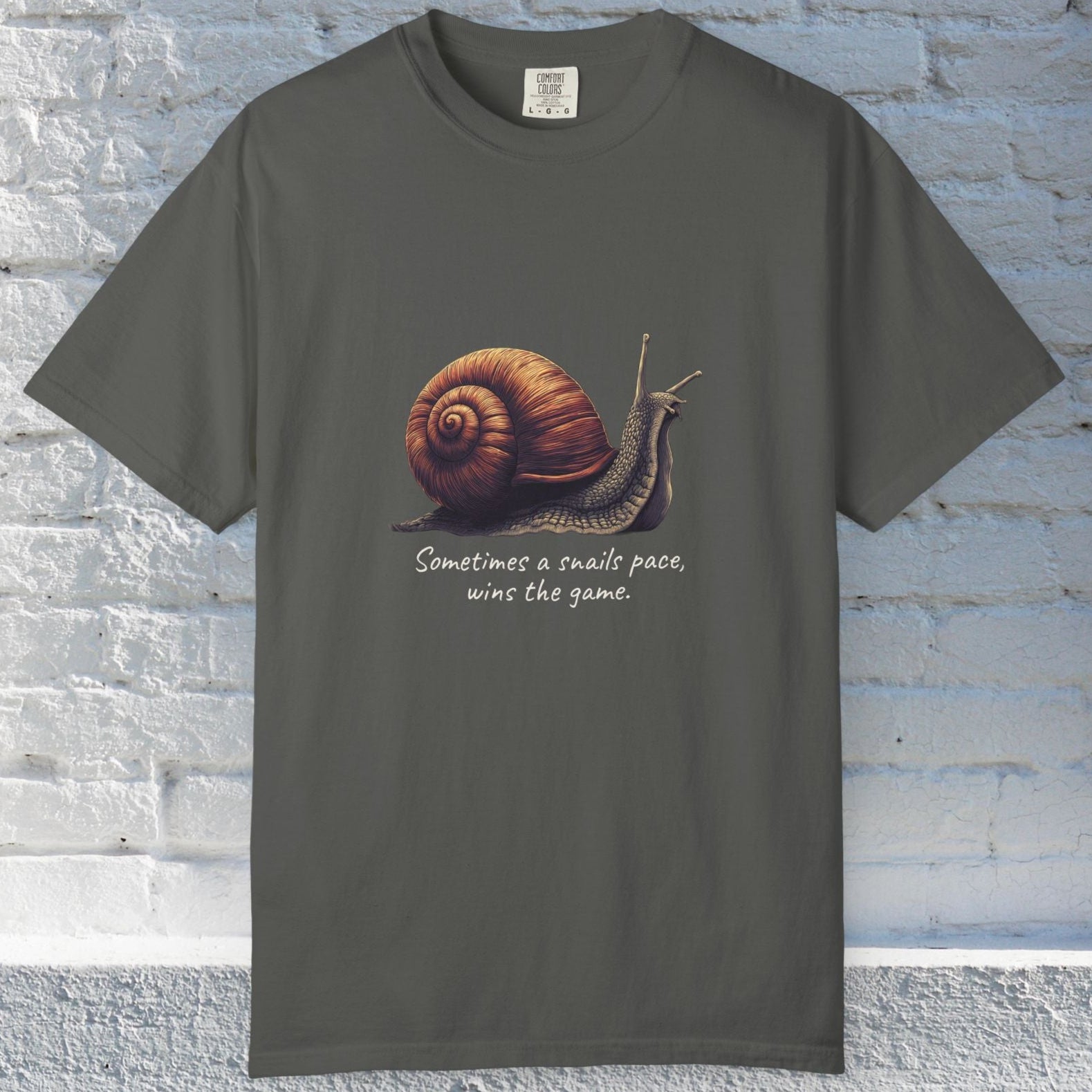 Sometimes a Snail Pace Wins the Game Shirt - Inspirational Snail Tee - FlooredByArt