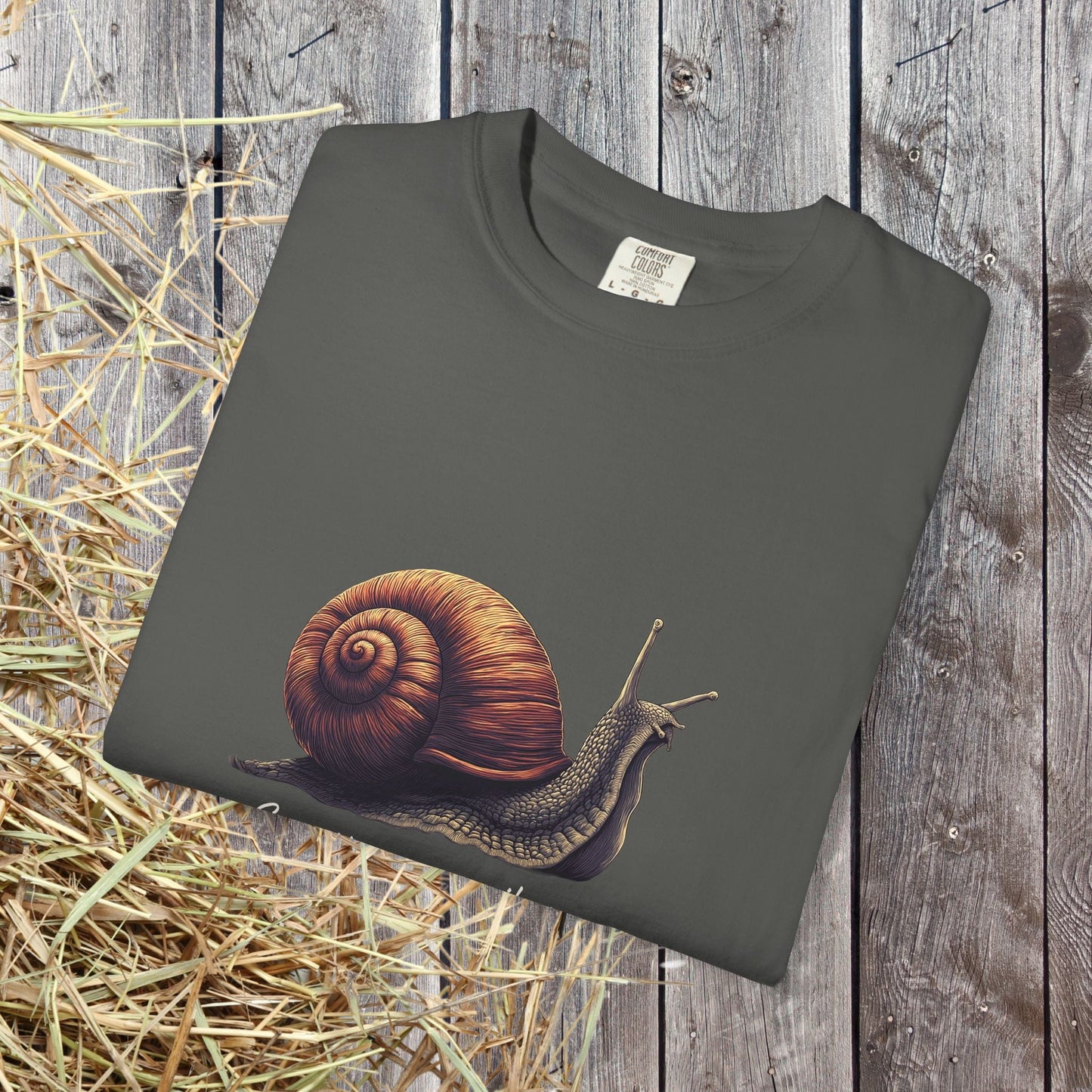 Sometimes a Snail Pace Wins the Game Shirt - Inspirational Snail Tee - FlooredByArt